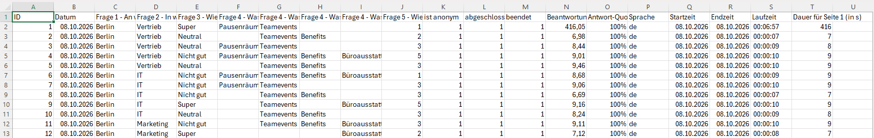 Beispielhafter Excel-Rohdatenexport (CSV-Datei)
