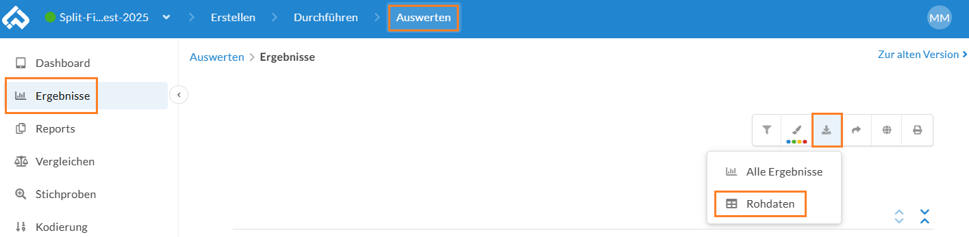Exportieren Sie die Rohdaten über den Download-Button im Bereich "Ergebnisse".